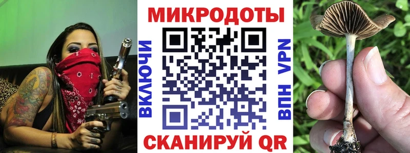 купить   Аркадак  Галлюциногенные грибы Psilocybe 